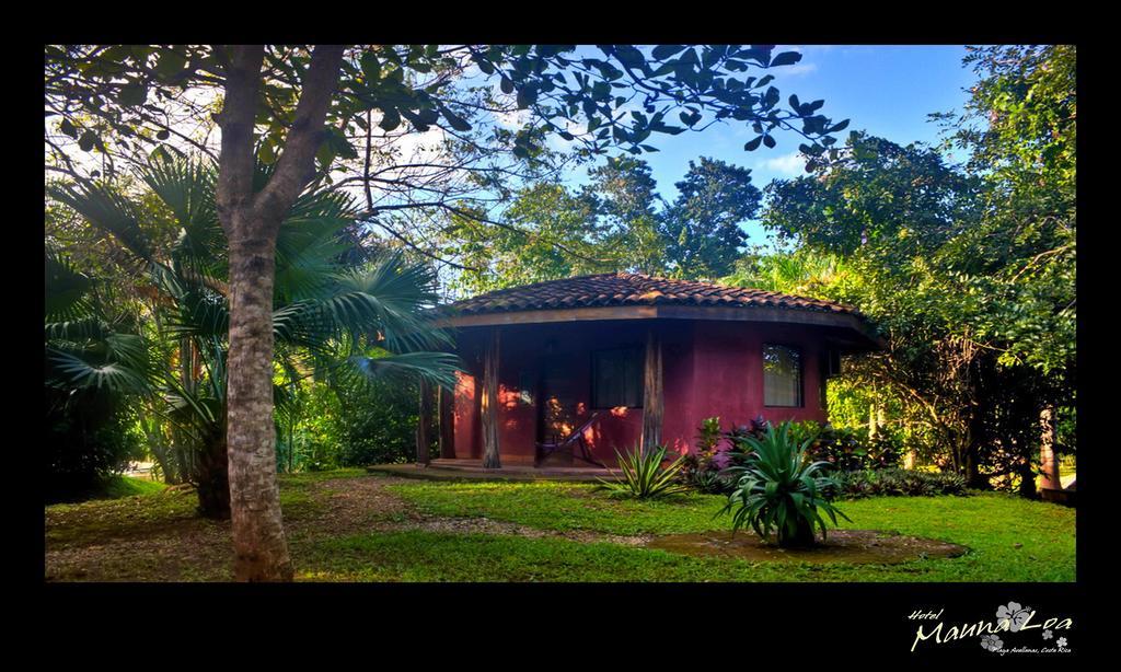 Pinilla Hotel Mauna Loa الغرفة الصورة