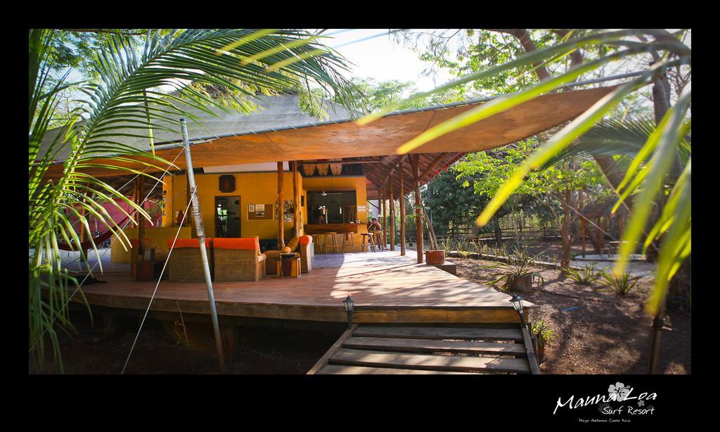 Pinilla Hotel Mauna Loa المظهر الخارجي الصورة
