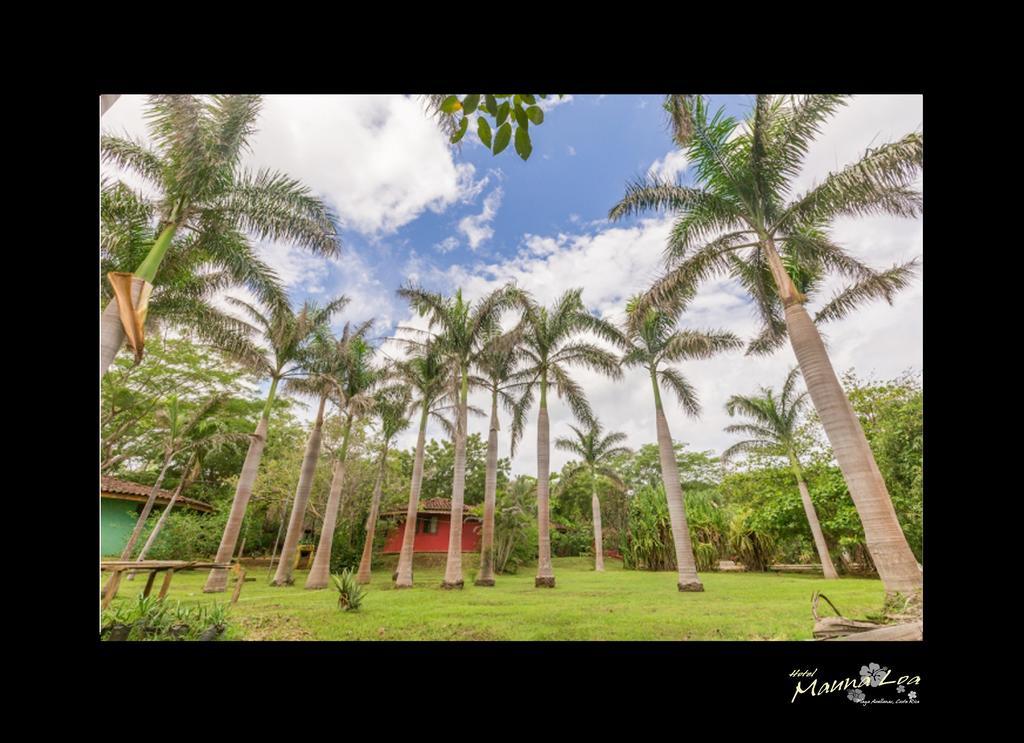 Pinilla Hotel Mauna Loa المظهر الخارجي الصورة