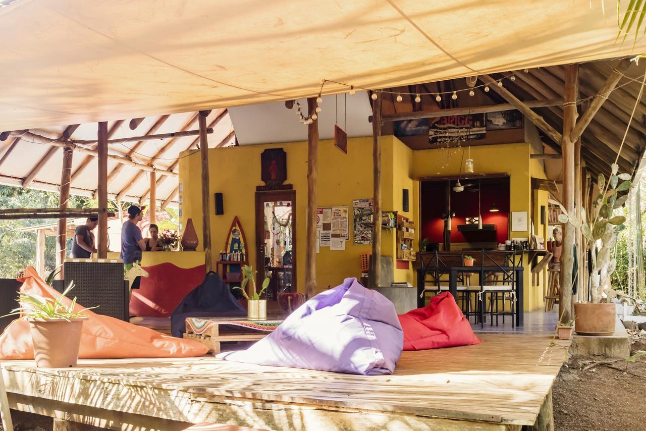 Pinilla Hotel Mauna Loa المظهر الخارجي الصورة